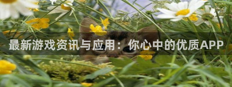 星欧娱乐网页登录入口官网：最新游戏资讯与应用：你心中的优质A