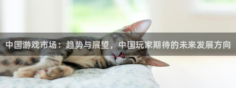 星欧娱乐平台注册：中国游戏市场：趋势与展望，中国玩家期待的未