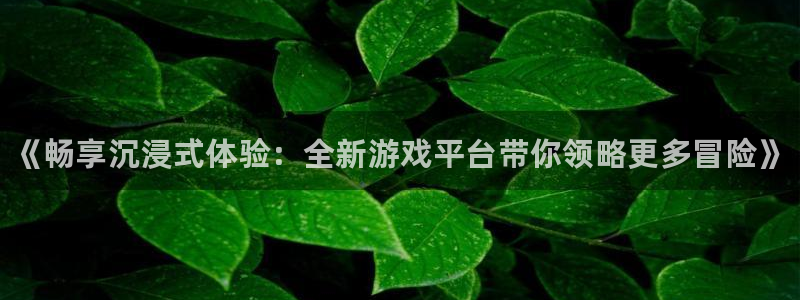 星欧娱乐平台官网客服电话：《畅享沉浸式体验：全新游戏平台带你