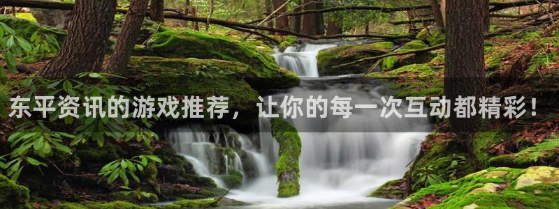 星欧娱乐注册服务条款：东平资讯的游戏推荐，让你的每一次互动都