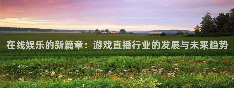 星欧娱乐官方登录网址：在线娱乐的新篇章：游戏直播行业的发展与