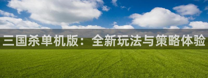 星欧娱乐2首页登录：三国杀单机版：全新玩法与策略体验