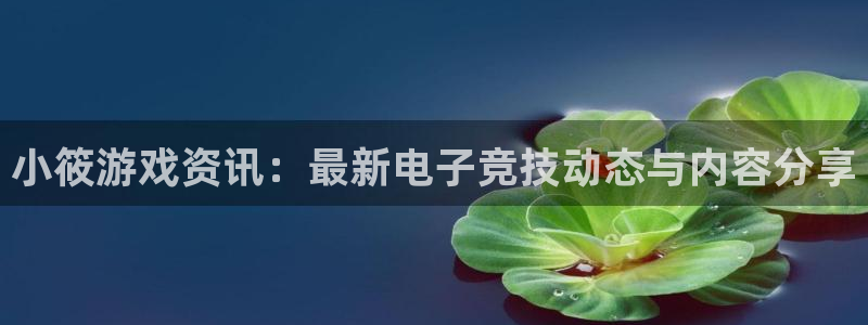 星欧娱乐网页版地址：小筱游戏资讯：最新电子竞技动态与内容分享