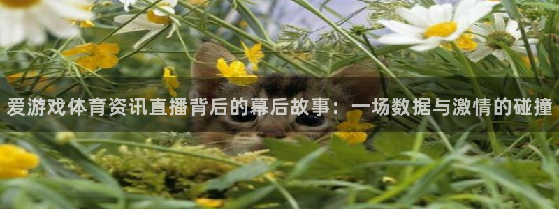 星欧娱乐登录：爱游戏体育资讯直播背后的幕后故事：一场数据与激