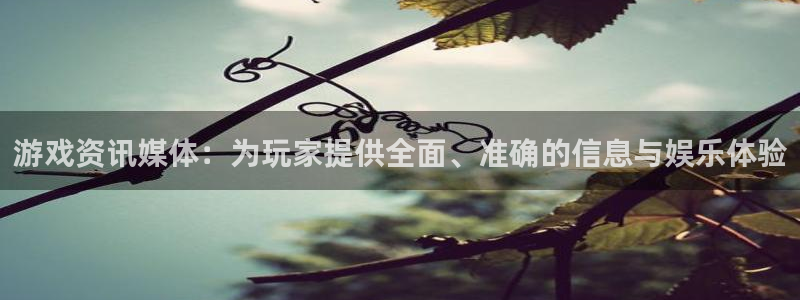 星欧娱乐咨询：游戏资讯媒体：为玩家提供全面、准确的信息与娱乐