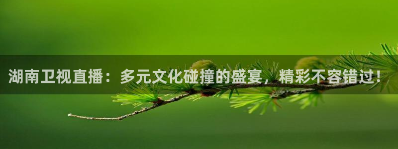 857直播看球直播间：湖南卫视直播：多元文化碰撞的盛宴，精彩不容错过！
