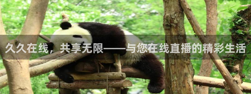857直播间：久久在线，共享无限——与您在线直播的精彩生活