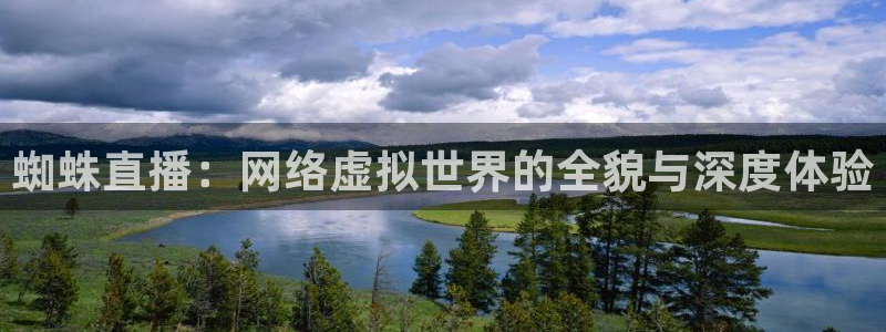 857直播体育间：蜘蛛直播：网络虚拟世界的全貌与深度体验