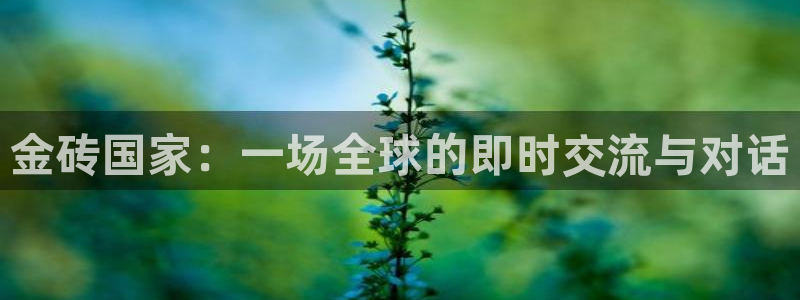 857视频直播nba：金砖国家：一场全球的即时交流与对话