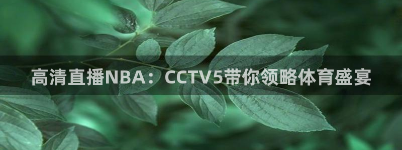 857 体育直播：高清直播NBA：CCTV5带你领略体育盛宴